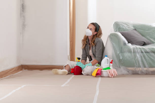 Reliable Mold Cleanup contractor in Port Monmouth, NJ by Cheap Mold Removal